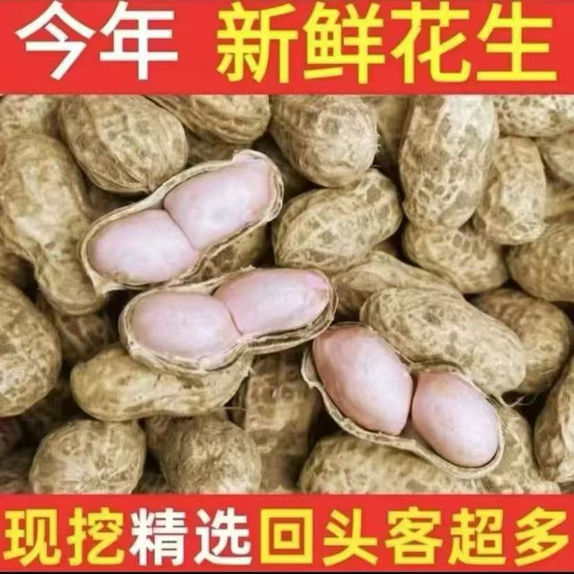 新鲜现挖带壳湿花生农家自种可水煮凉拌当季花生