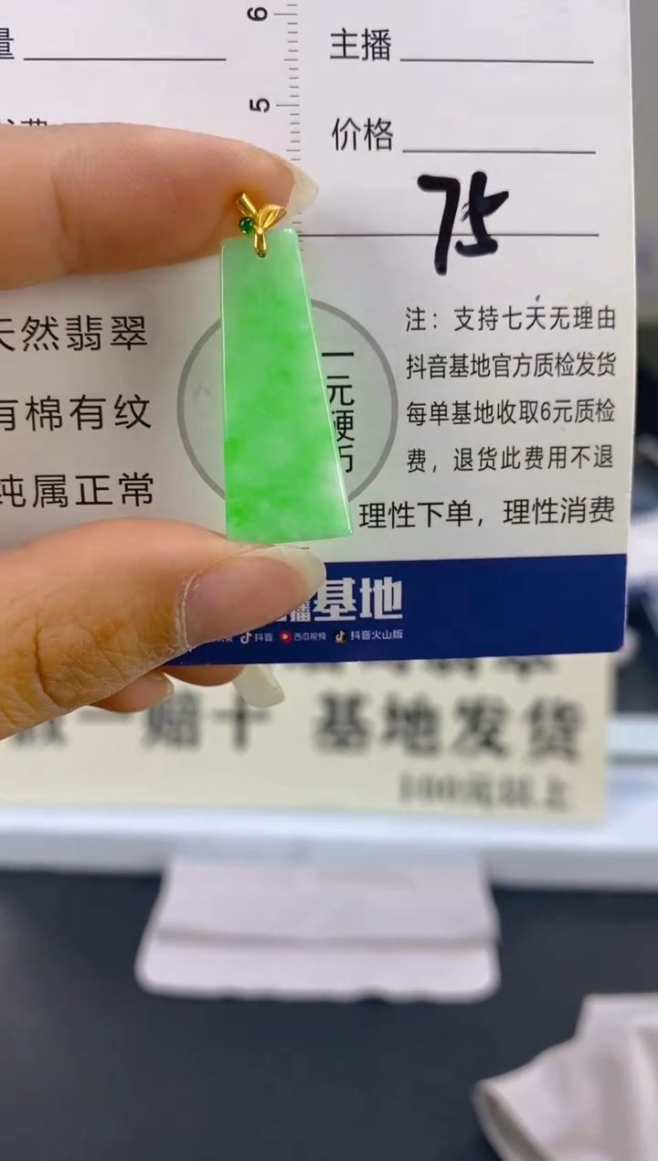 【闪购商品】翡翠颈饰18K金镶嵌天然A货翡翠