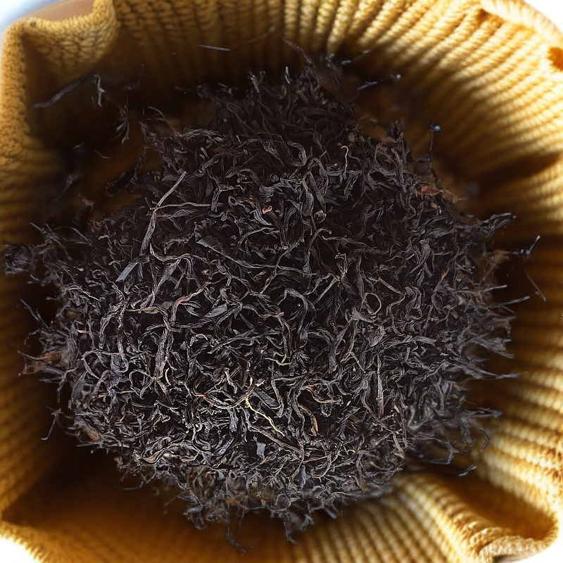 大雪山古树晒红—2024年头春