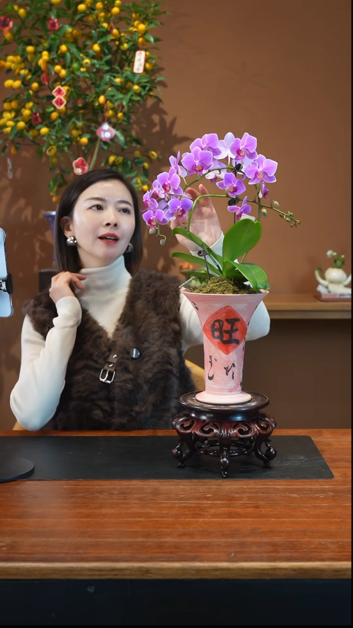 全部花朵粉珠帘旺旺盆盆景盆景盆景