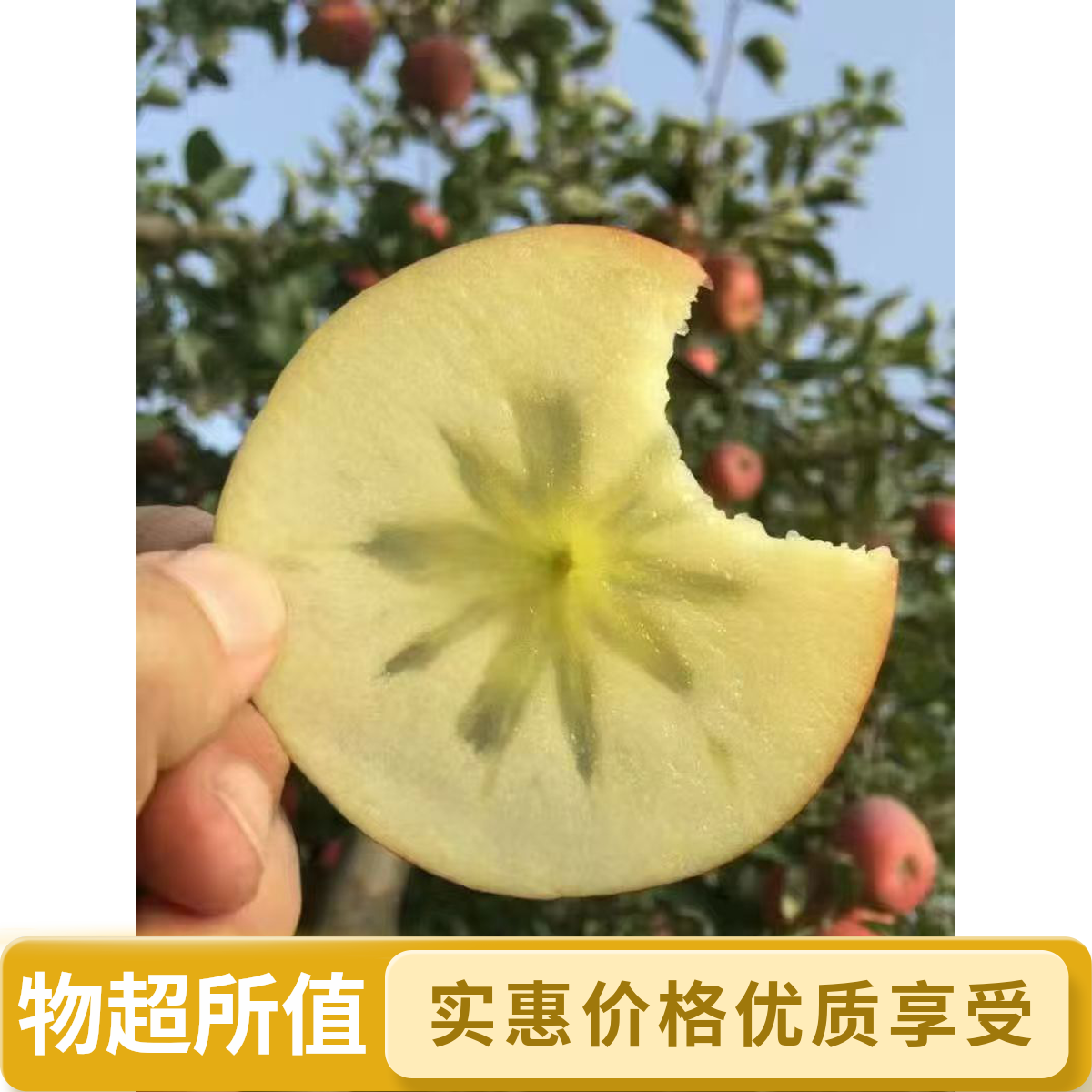 新疆特产阿克苏冰糖心苹果霜降后采摘自然糖心果肉细腻坏果包赔