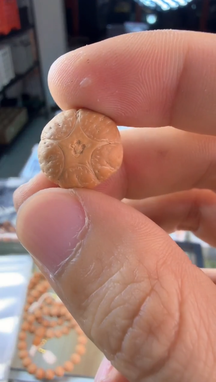 手串凤眼菩提尼泊尔五星顶珠 正星肌肉 编号3886一物一图 