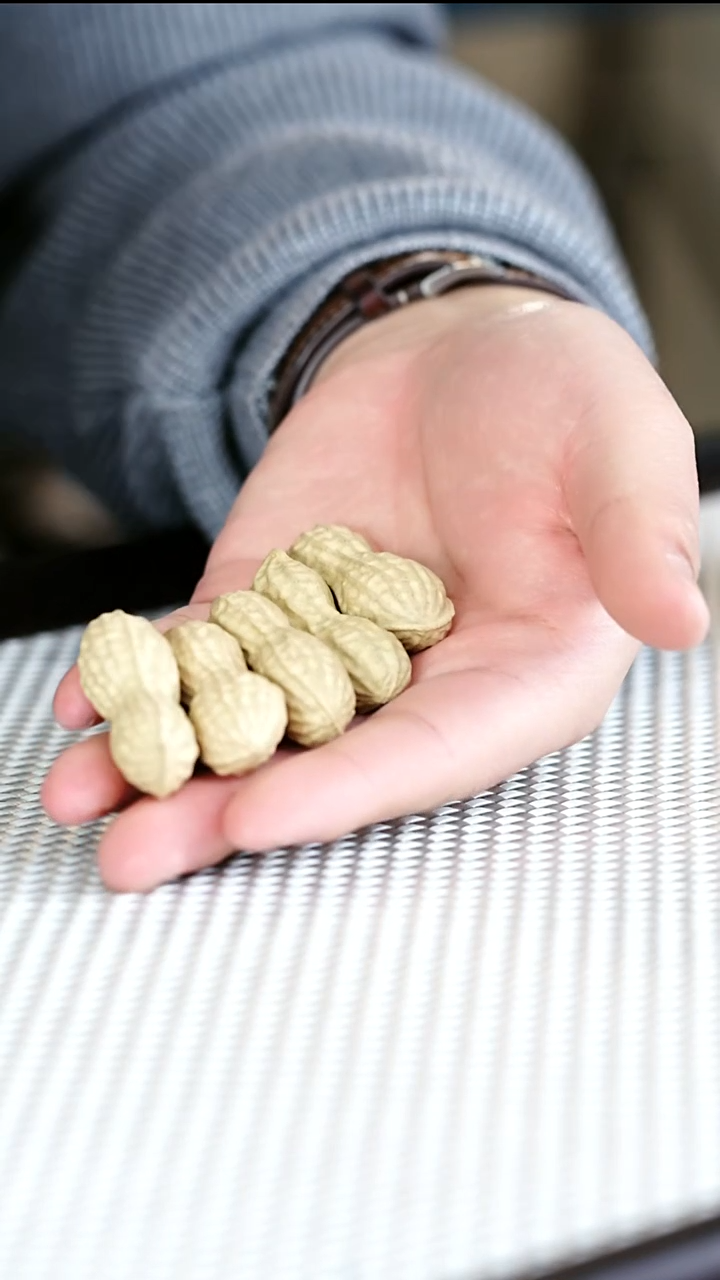 茶壶紫砂紫砂花生5个