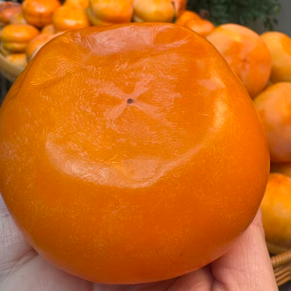 正宗磨盘大柿子 自然甜 坏果包赔次日达包邮北京市