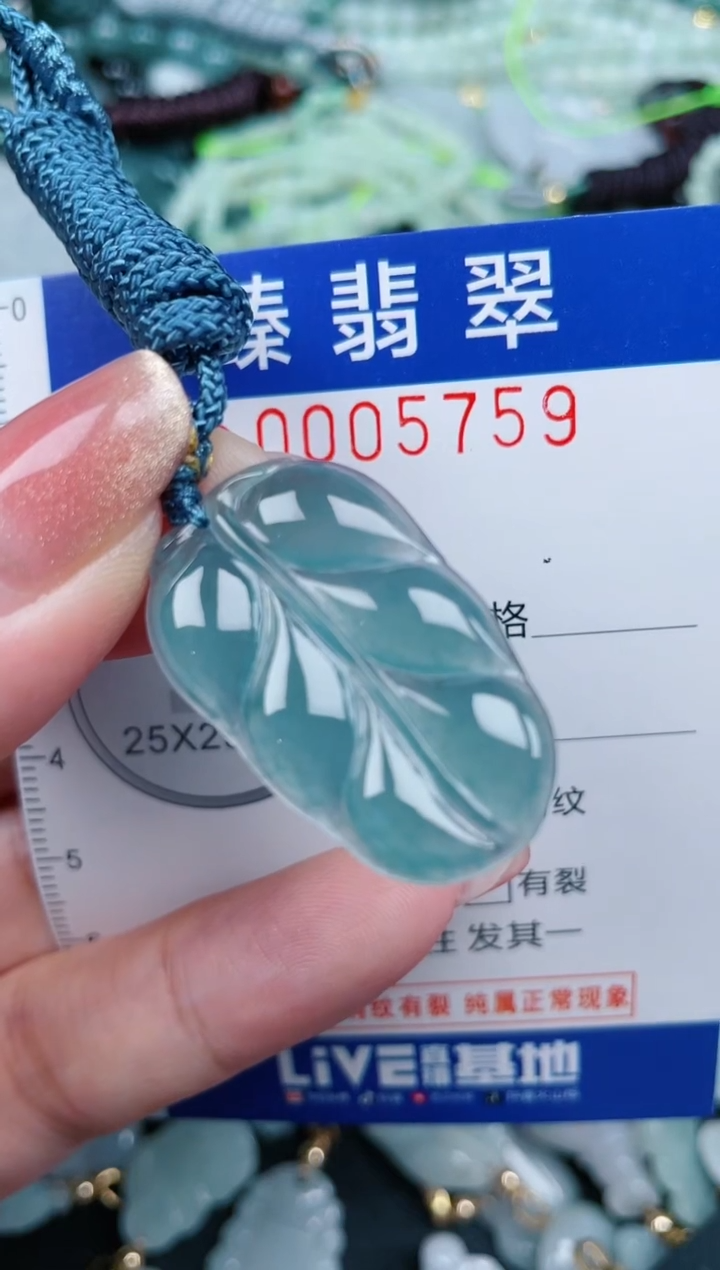 【闪购商品】翡翠颈饰未镶嵌.0005759