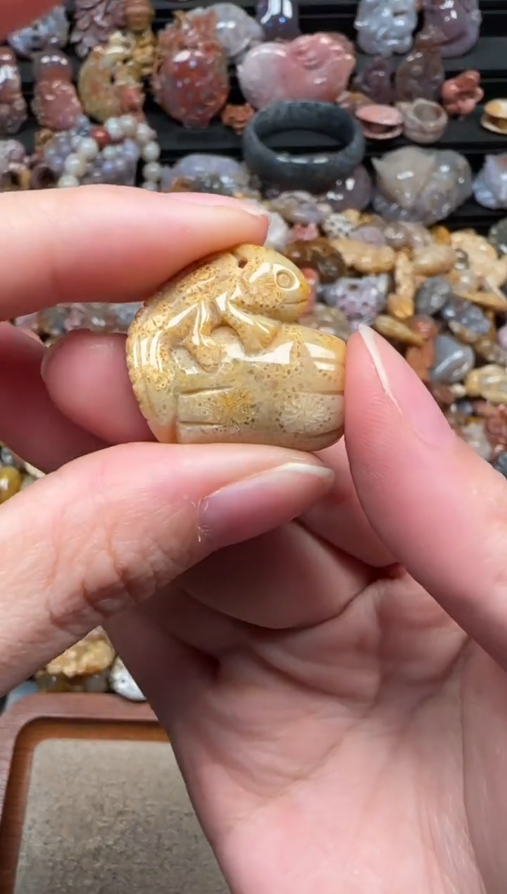 颈饰未镶嵌硅化珊瑚（珊瑚玉）250