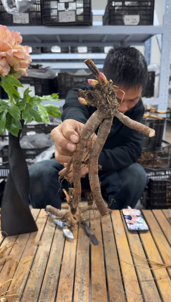 l****099  我的爱  520  