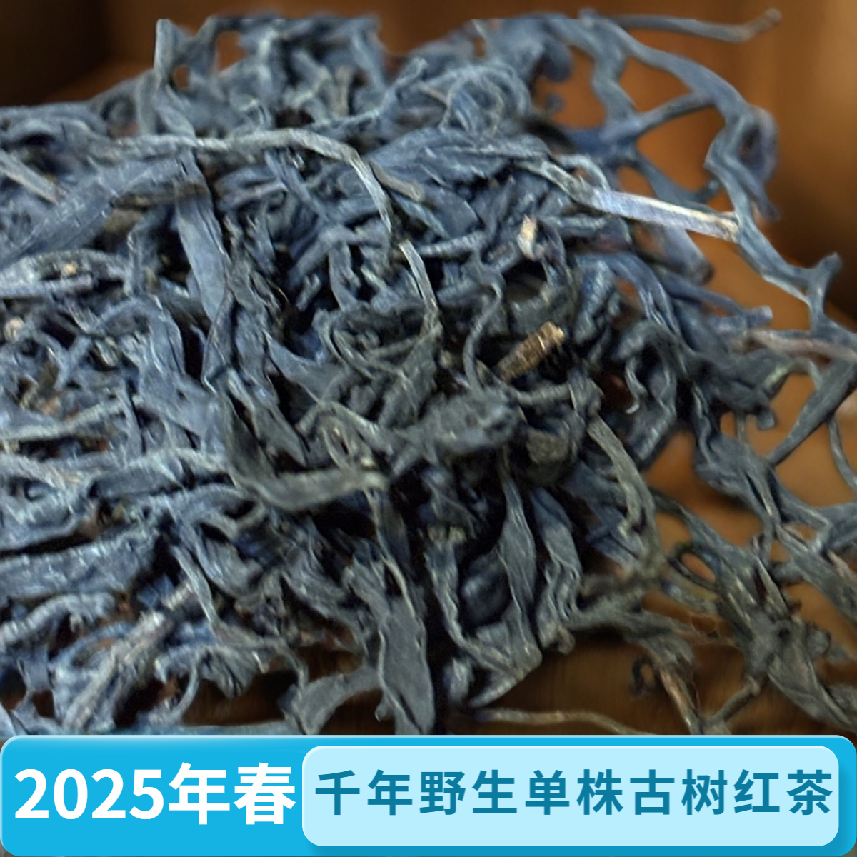 2025年云南滇红千年野生单株古树红茶散装称重50g