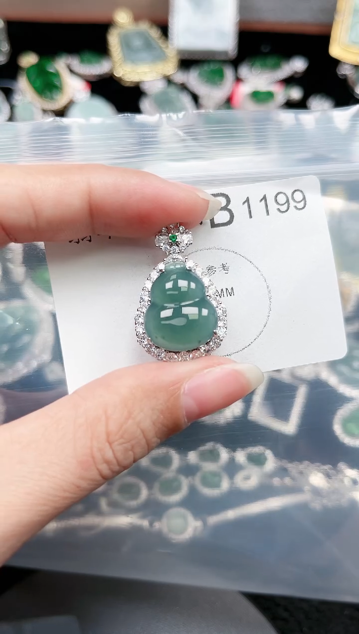 【闪购商品】翡翠颈饰未镶嵌赠皮绳1199