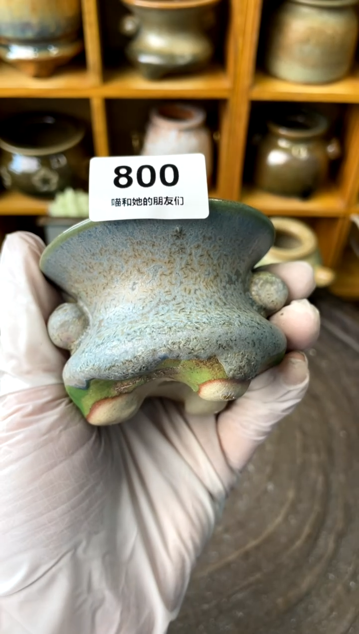 【闪购商品】800 内口6.5【多肉花盆多肉盆】