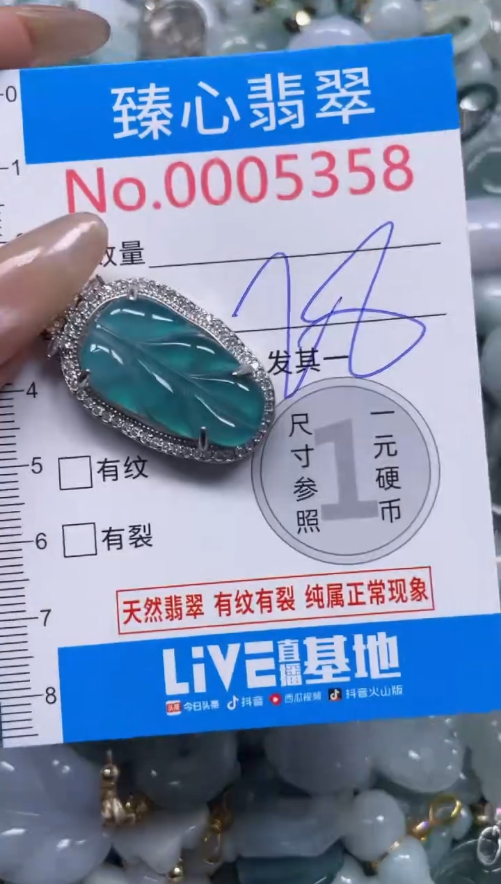 颈饰未镶嵌翡翠5358