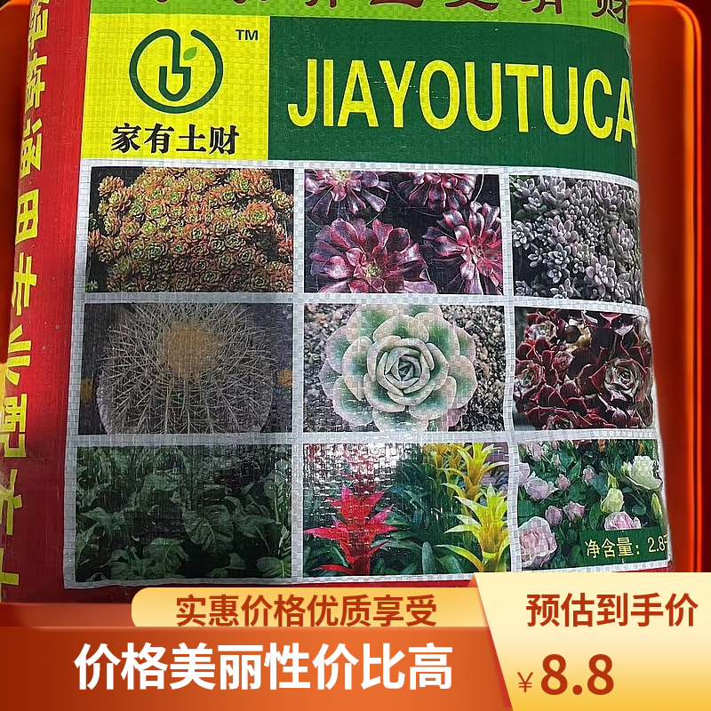 多肉营养土 精品多肉绿植