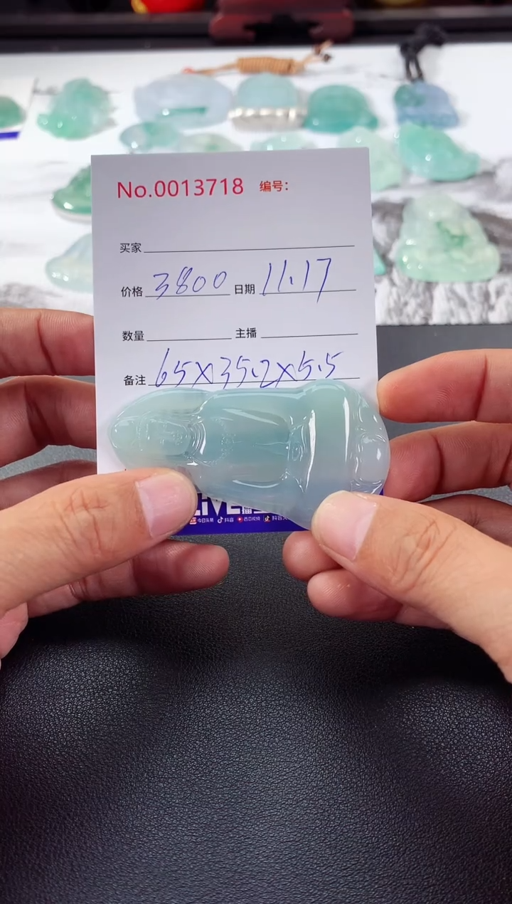 颈饰未镶嵌翡翠素衣