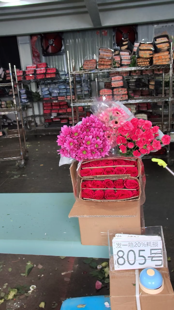 805号♥含20%耗损发一箱