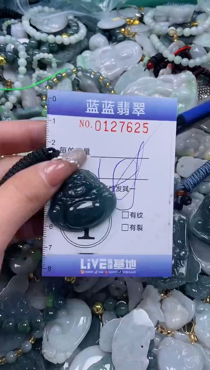 【闪购商品】翡翠颈饰未镶嵌闪购0127625