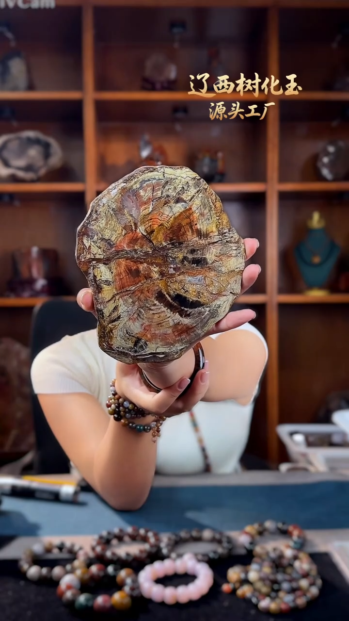 未镶嵌-硅化玉天然北票硅化玉原石