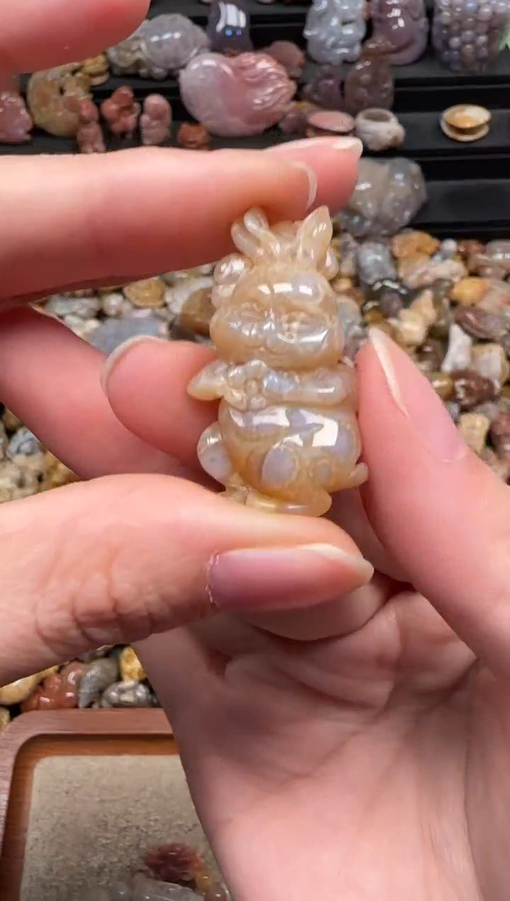 颈饰未镶嵌硅化珊瑚（珊瑚玉）221