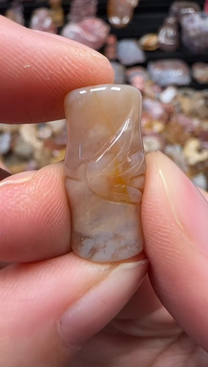 颈饰未镶嵌硅化珊瑚（珊瑚玉）112