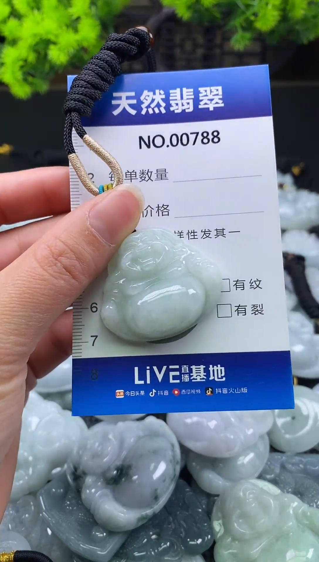 颈饰未镶嵌翡翠天然缅甸翡翠788