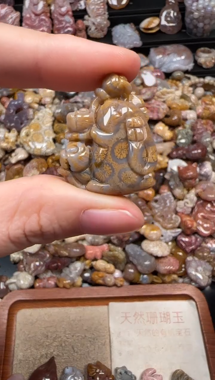 颈饰未镶嵌硅化珊瑚（珊瑚玉）907