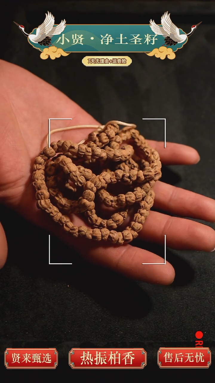 手串柏香籽/百香籽热振百香籽精工几何深坑对眼大肠百香籽
