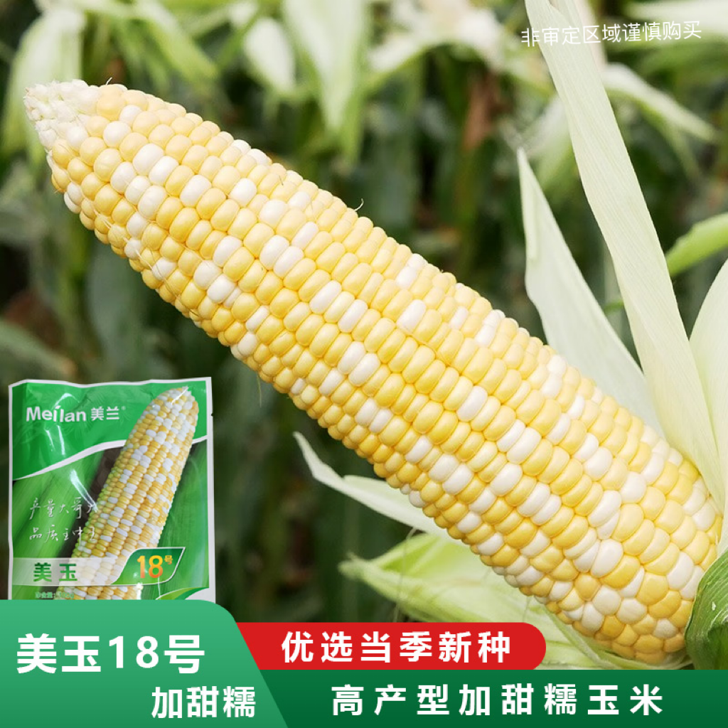 甜糯水果玉米种子美玉18号甜糯玉米种子早熟抗倒伏易种植春秋种植