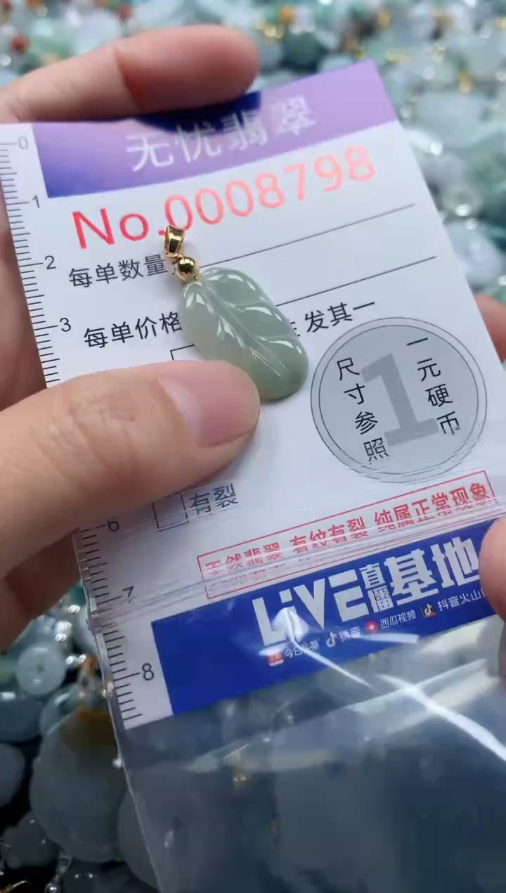 翡翠未镶嵌吊坠(不含链)8799