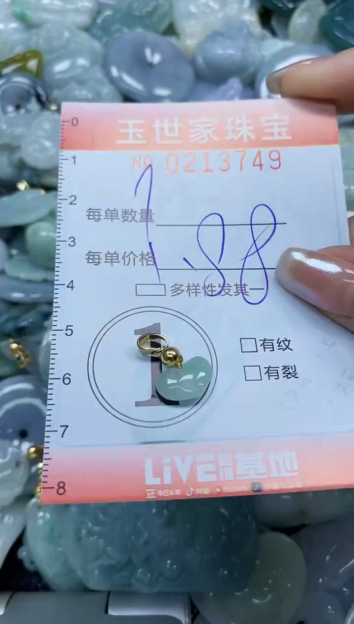 【闪购商品】翡翠未镶嵌颈饰闪购0213749