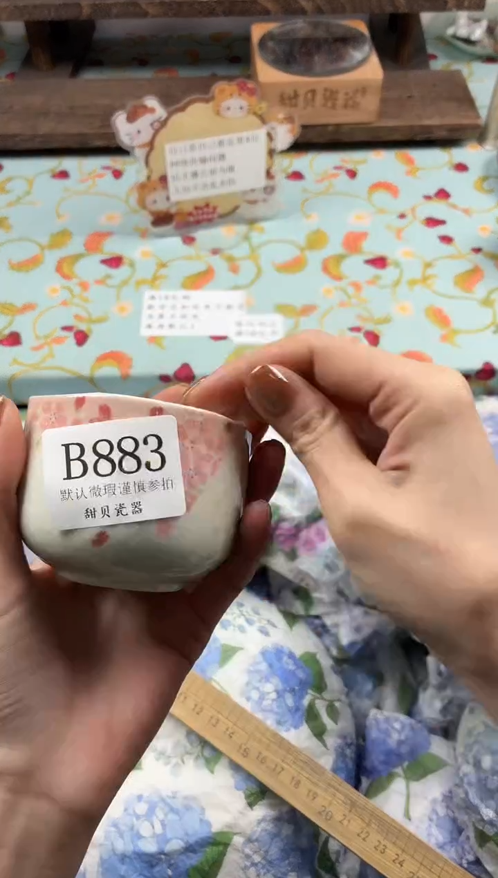 瓷片一****?                B883
