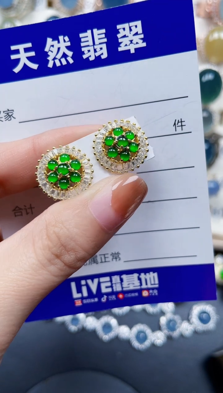 银S925镶嵌翡翠耳饰730