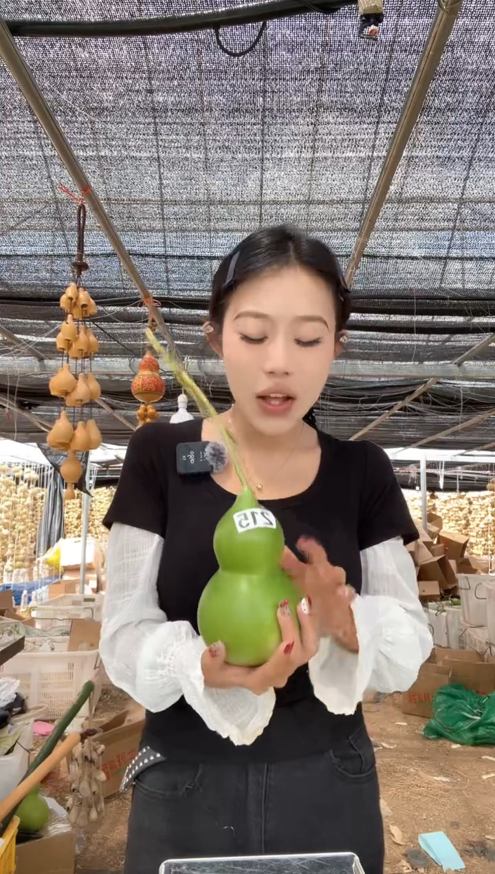 215天然葫芦摆件 一物一拍龙头不保售后