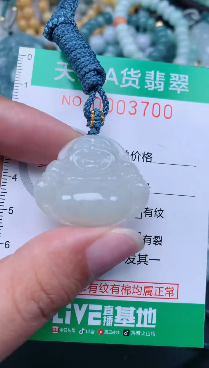 翡翠未镶嵌颈饰.0003700