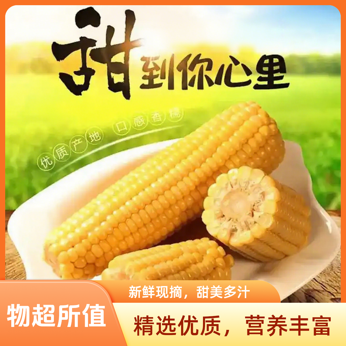 东北黑土地头茬黄糯粘玉米，软糯香甜，真空包装，营养健康