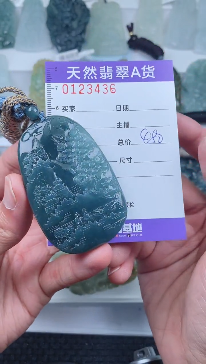 【闪购商品】翡翠颈饰未镶嵌        436