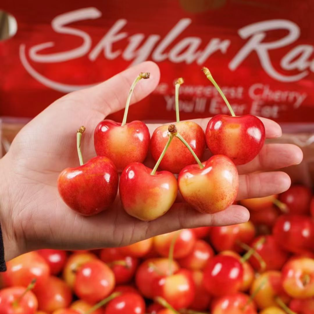 【老何严选】斯凯拉雷智利空运车厘子J-3J 4斤装内附果径卡