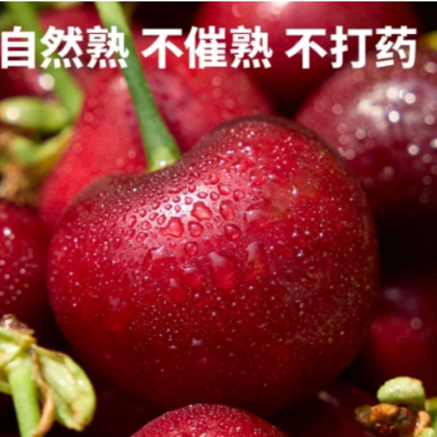 【空运5斤】新鲜采摘国产车厘子硬脆酸甜5斤装 顺丰/京东，空运发货 J22山东大樱桃山东大樱桃
