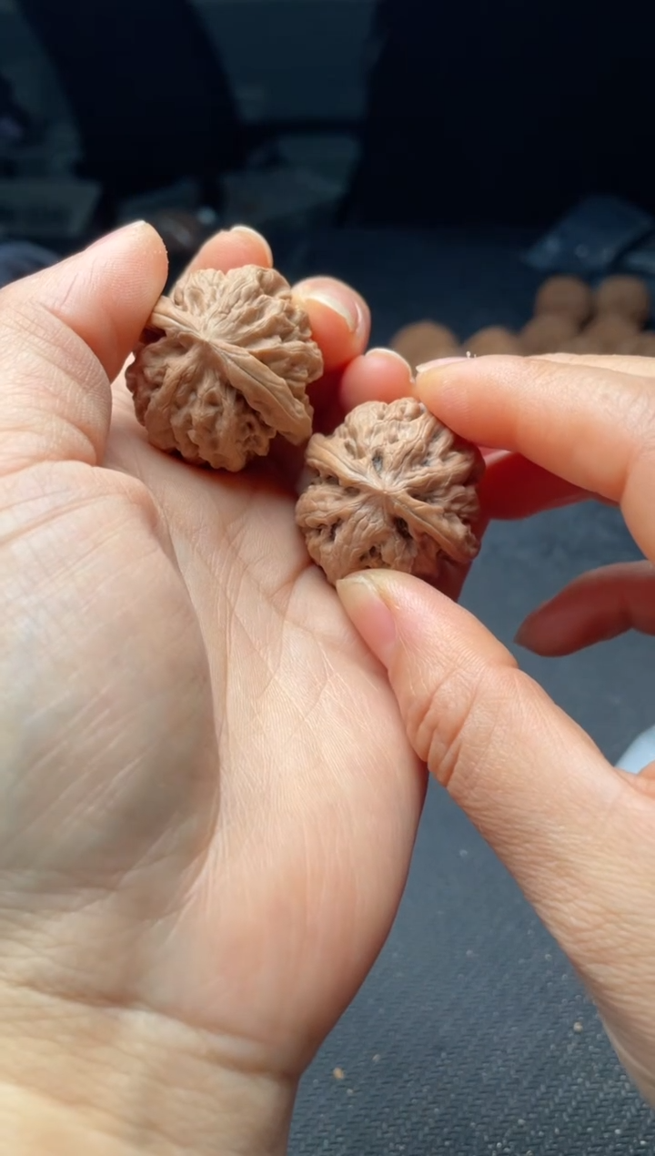 把件文玩核桃w40  九龙 34尺