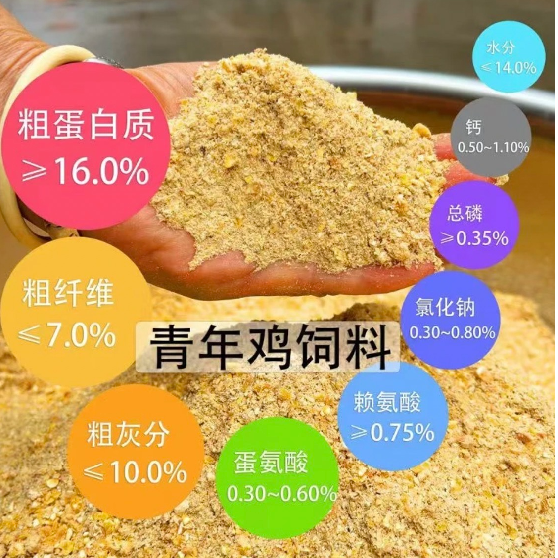 青年鸡半大鸡定制玉米面饲料营养均衡高蛋白烤肉高品质