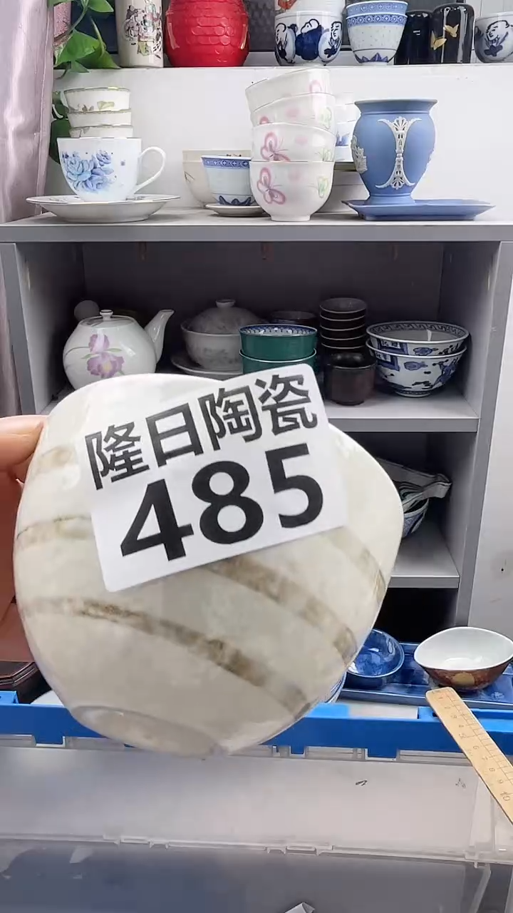 【闪购商品】瓷片485longritaoci