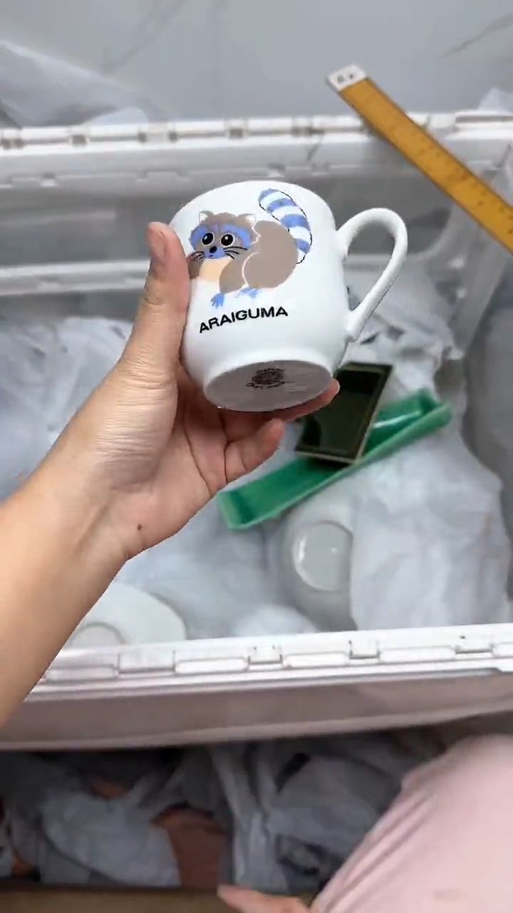 【闪购商品】455回流瓷器默认微瑕，18.8包邮