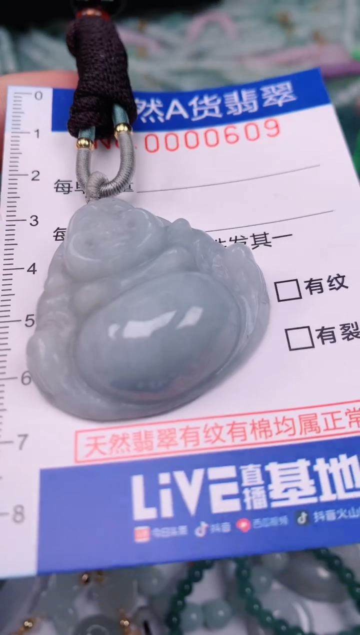 【闪购商品】翡翠颈饰未镶嵌00000609