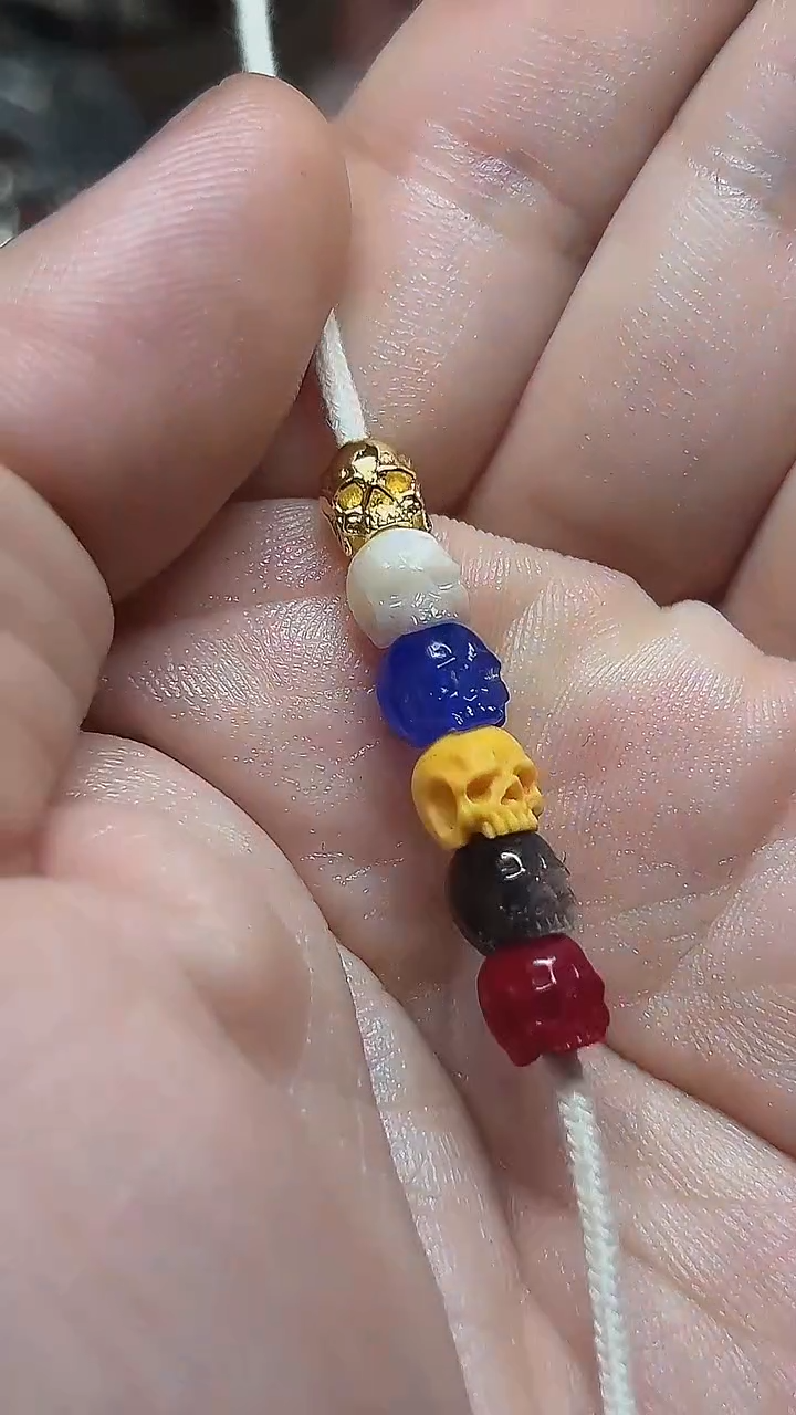 贝壳其他六彩小骷髅     