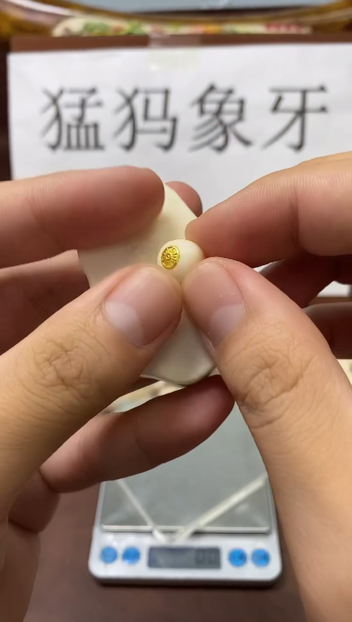 猛犸海胖纯肉11*10金标单珠