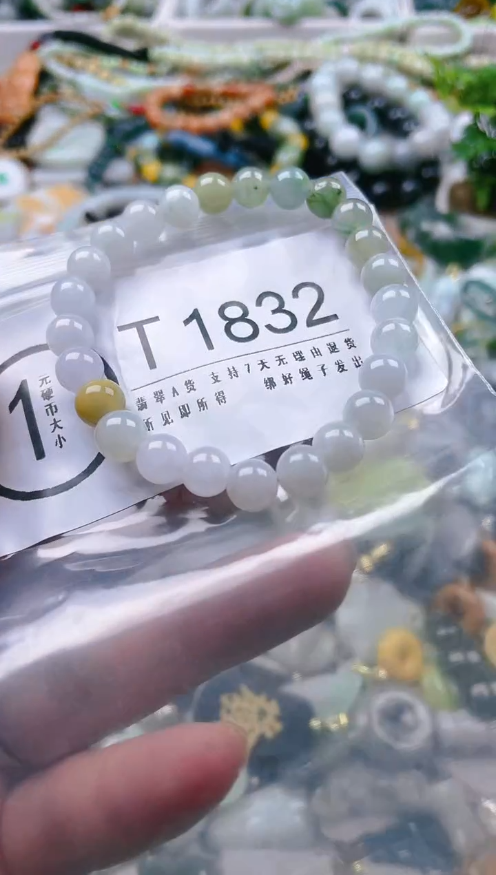 【闪购商品】翡翠颈饰未镶嵌/T/翡翠A货一图一物