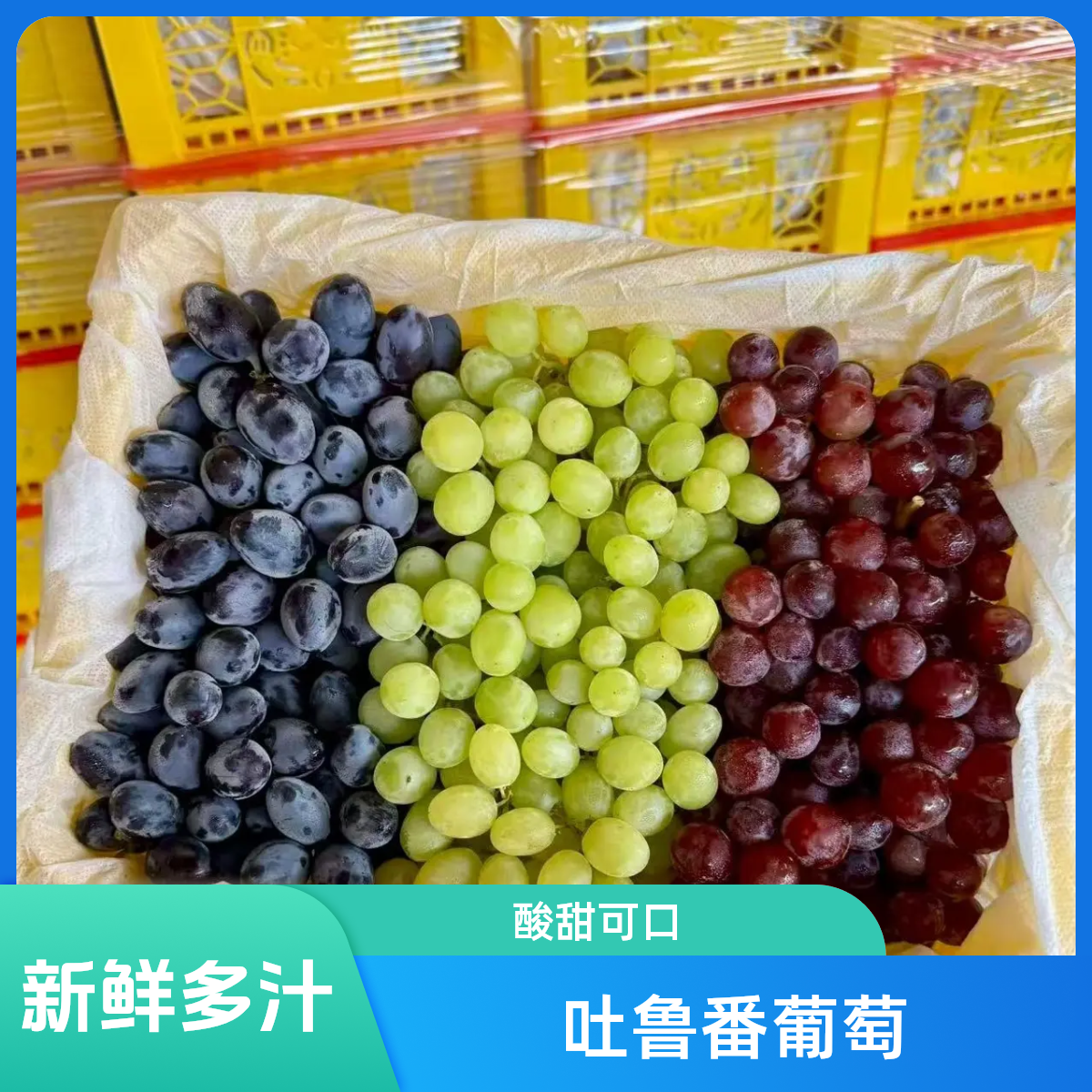 新疆吐鲁番三色鲜食葡萄无核白无核紫玻璃脆拼盘毛重4.5斤一件脆甜多汁应季新鲜水果新疆维吾尔自治区