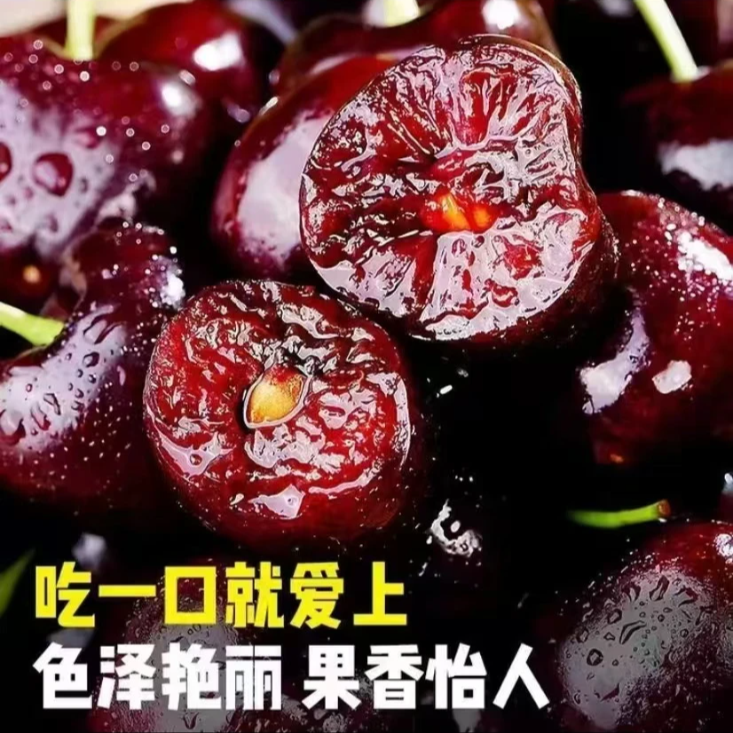 【航空冷链】山东美~早新鲜水果现采现摘脆甜爆汁 石榴 带箱4斤XXW