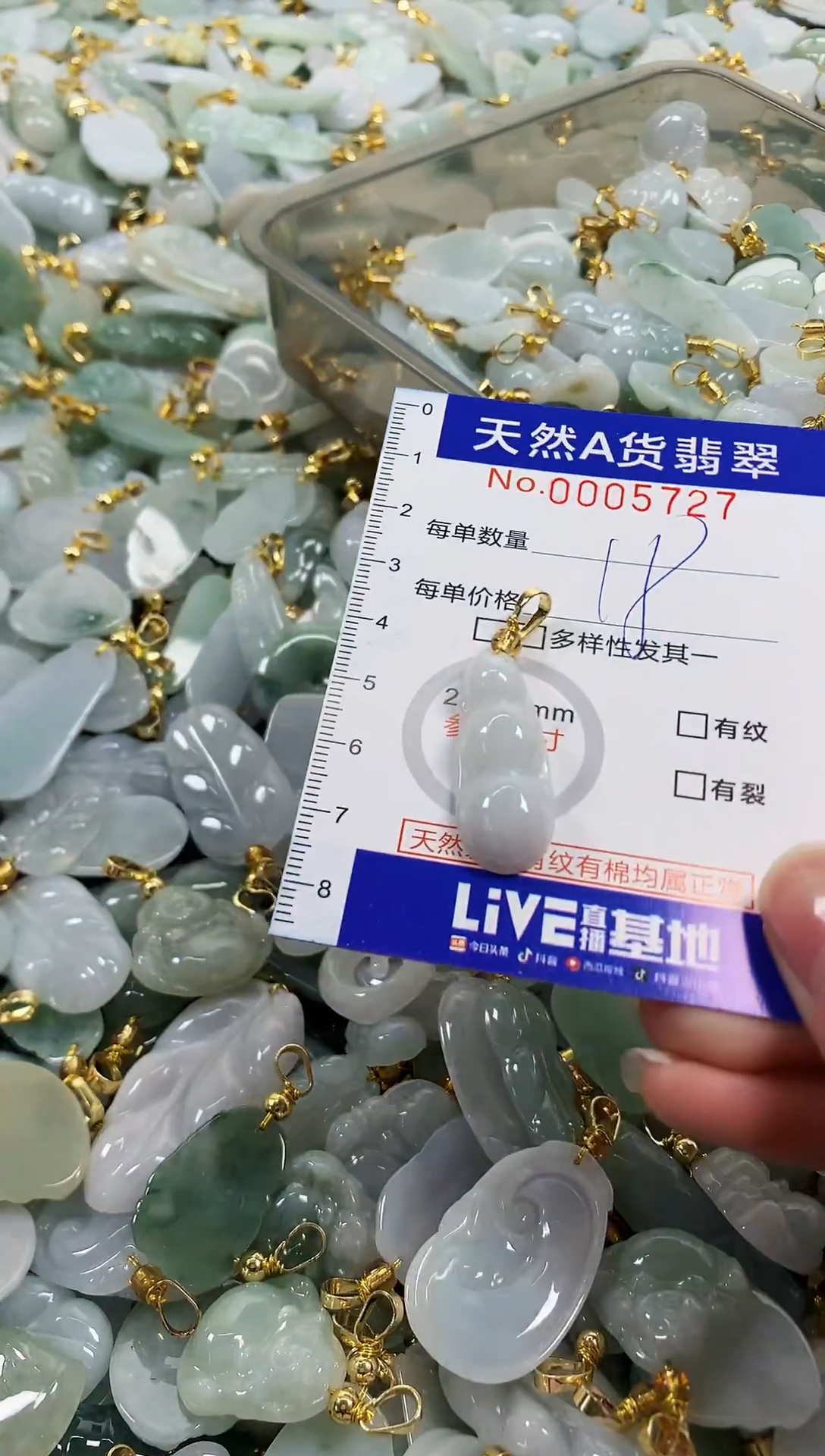 颈饰未镶嵌翡翠天然a货翡翠