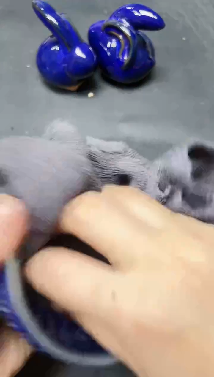 【闪购商品】茶盏515微瑕