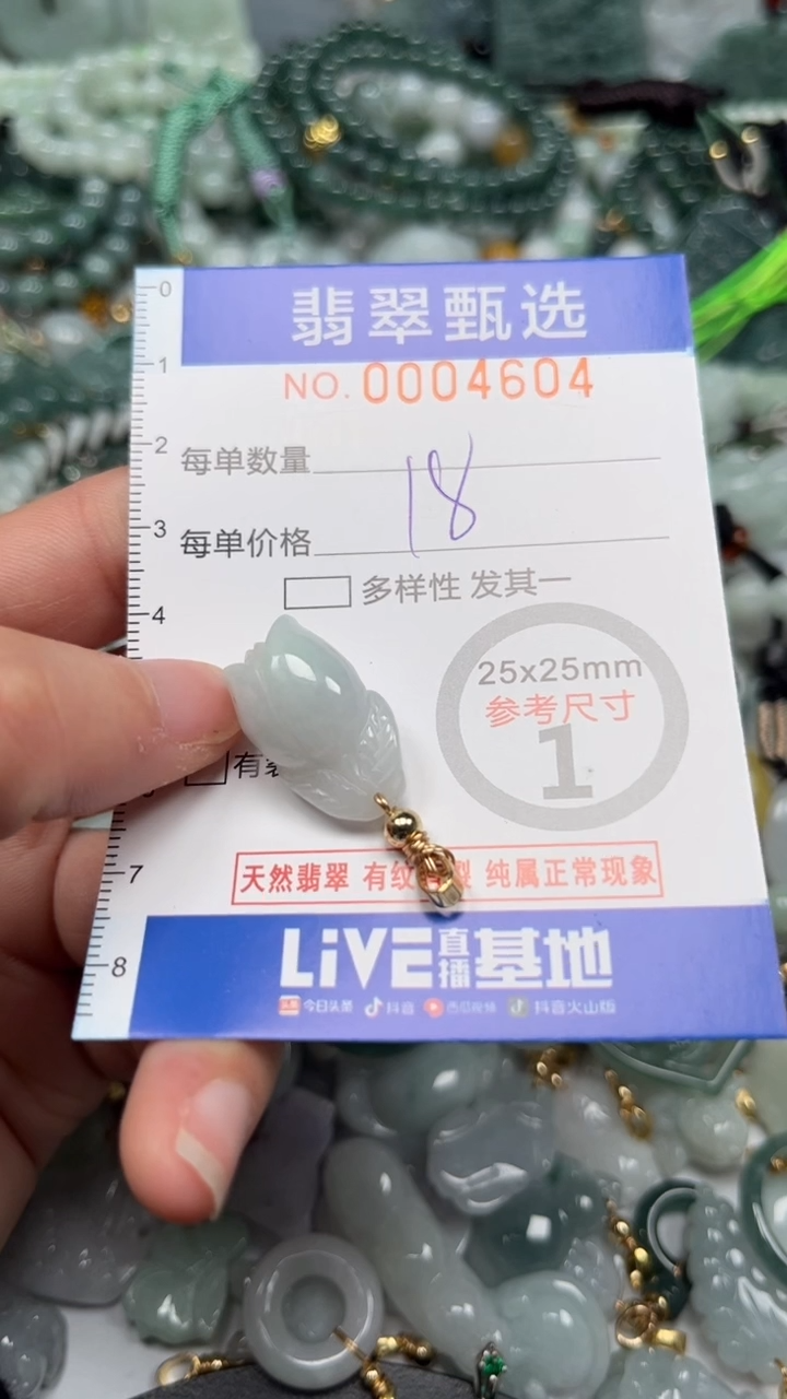【闪购商品】翡翠颈饰未镶嵌00..4604