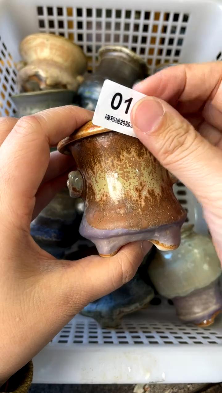 【闪购商品】陶014